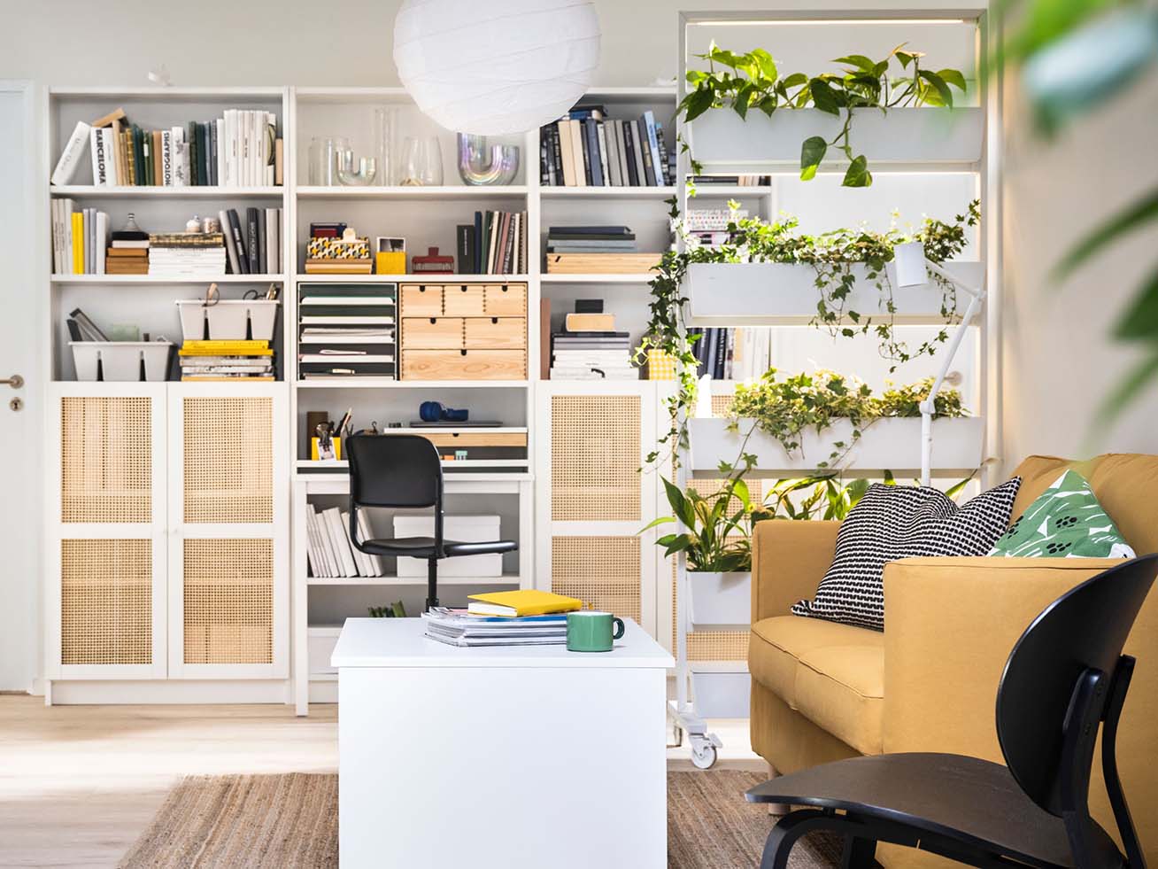 Ontdek Betaalbare Stijl: Boekenkasten voor Elk Huis